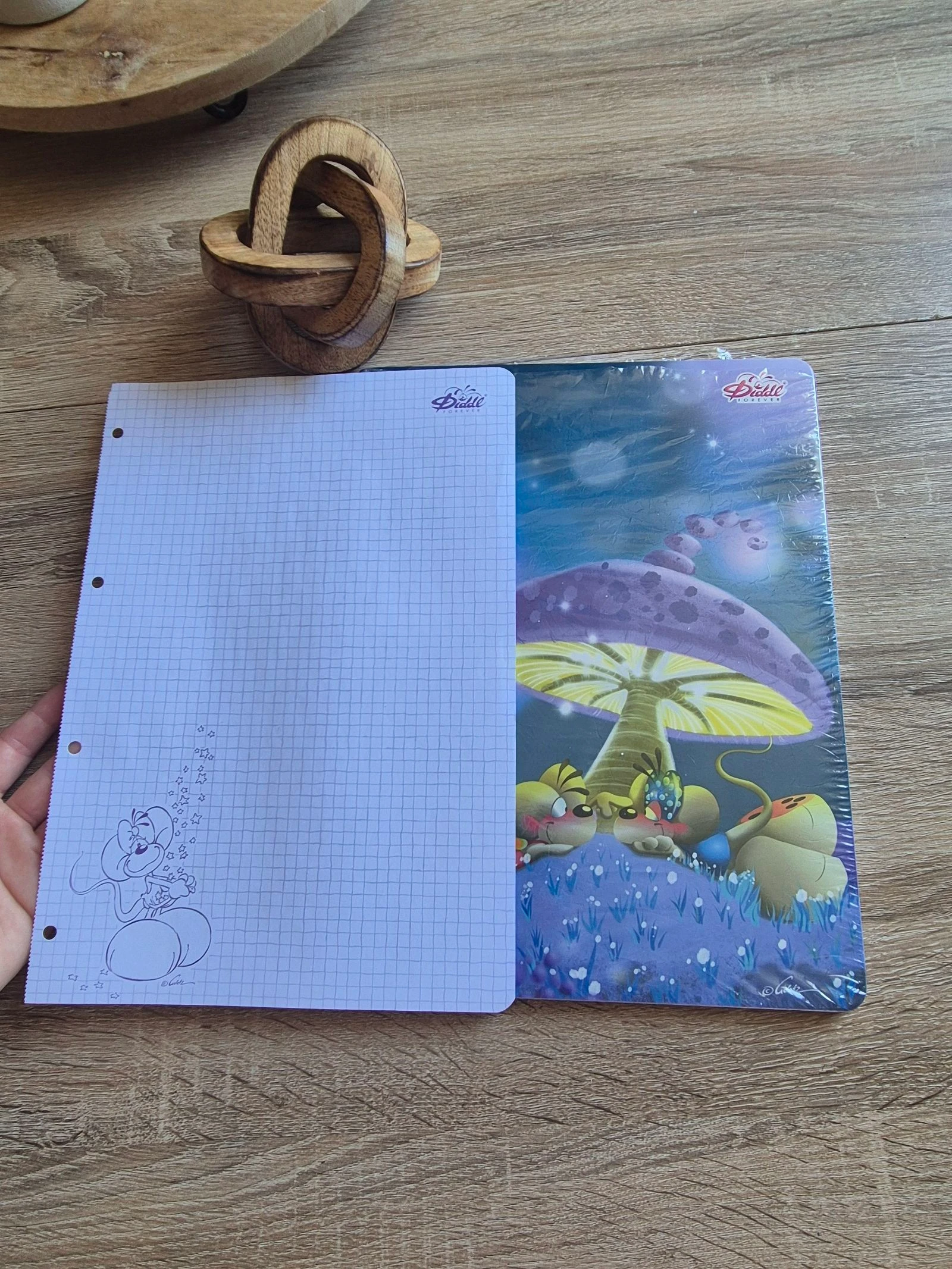 A4-blad speciale editie Diddl voor altijd – photo 2